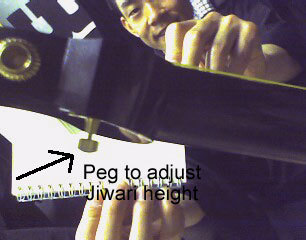 Peg to adjust Siwari height