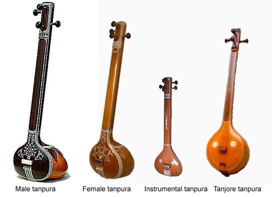 types of tanpuras