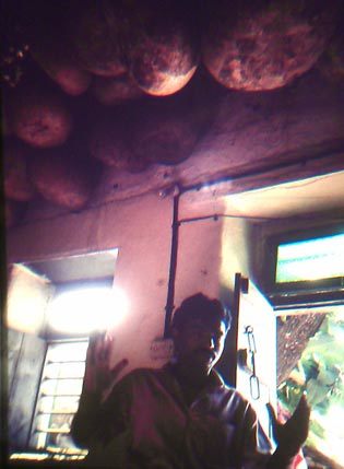 gourds drying on the ceiling